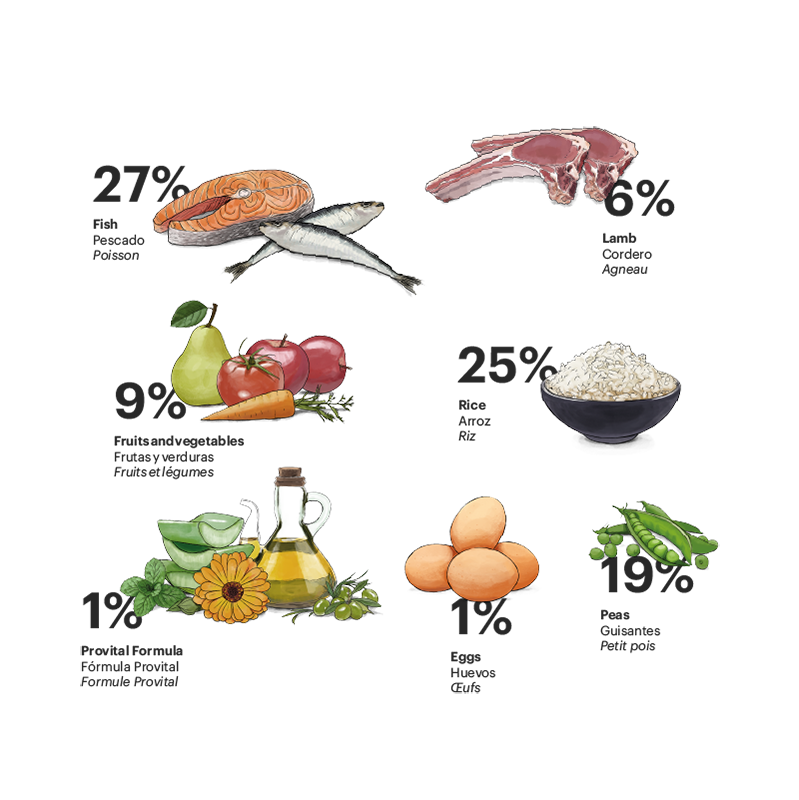 Exclusive Dog Junior Fish with Lamb